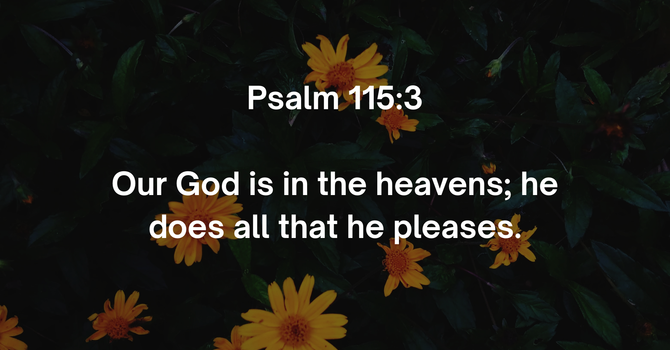 Psalm 115:3 image