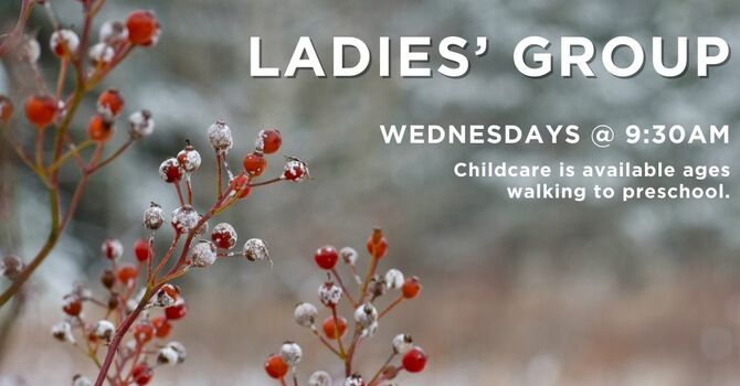 Ladies' Bible Study