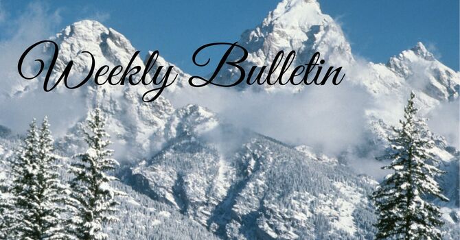 Bulletin for January 3 & 4, 2026