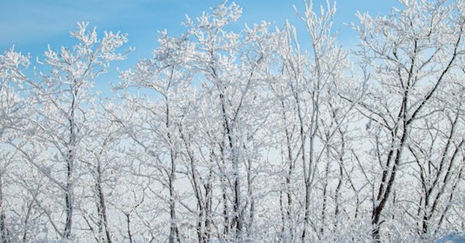 January 3, 2026 Devotion image