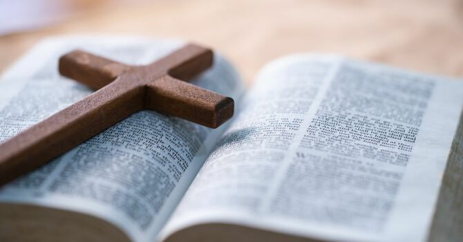 The One Year® Chronological Bible (click here to see the plan) image