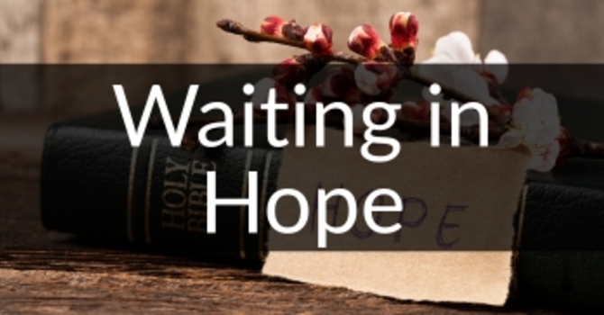 Waiting In Hope