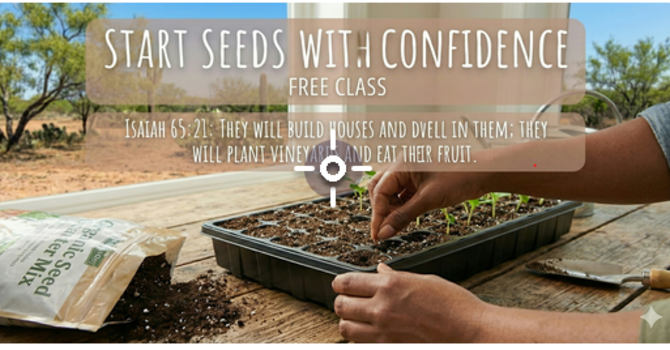 Start Seeds With Confidence