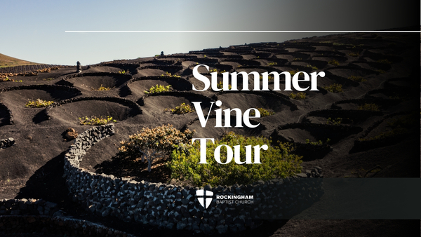 Summer Vine Tour