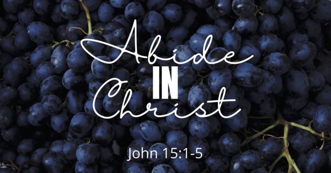 Abide In Christ