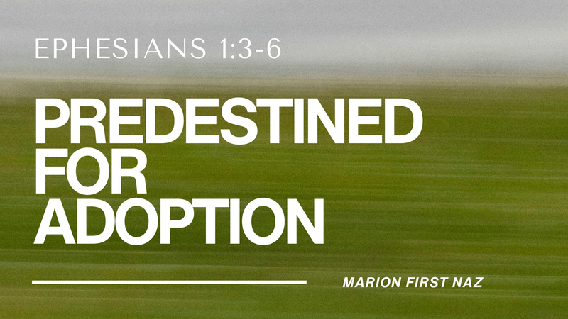 Predestined for Adoption
