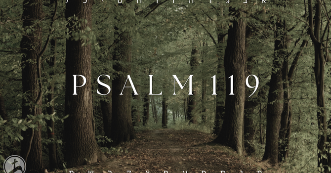 Delighting In God's Word