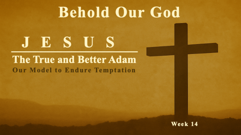 Jesus, the True and Better Adam 