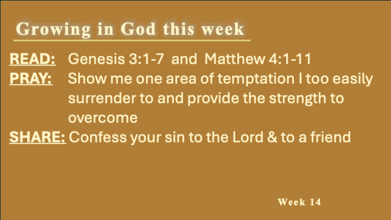 Jesus, the True and Better Adam 