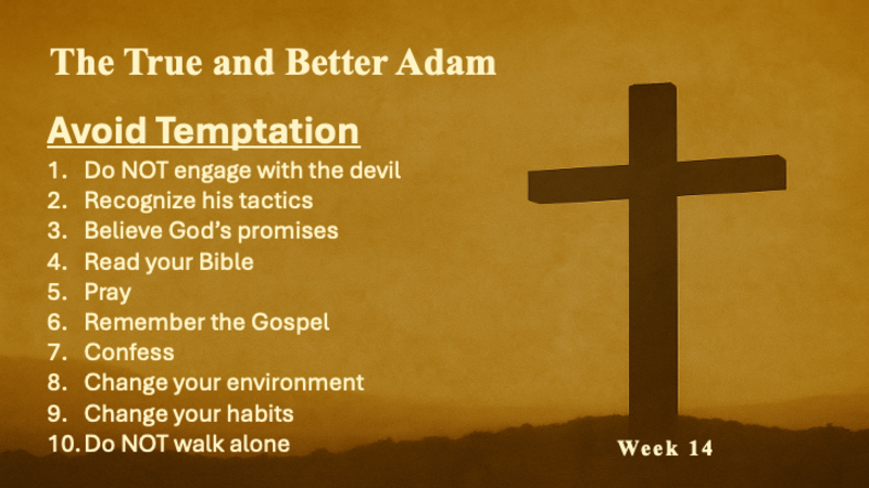 Jesus, the True and Better Adam 