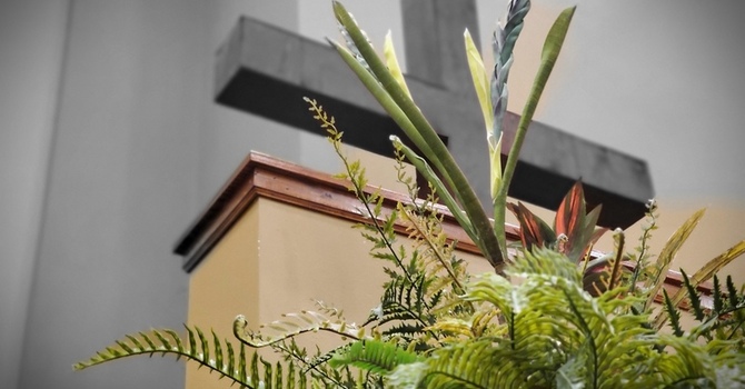 "Same Land, Different Vision" A.M. Service