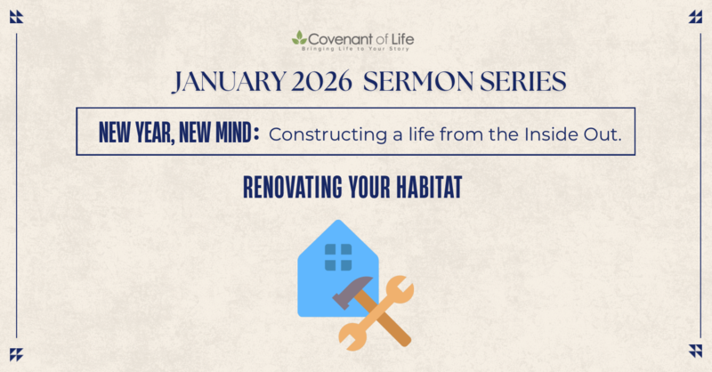 Renovating Your Habitat