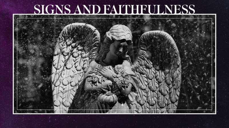 The Story According to Joseph