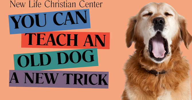 You Can Teach An OLD Dog NEW Tricks