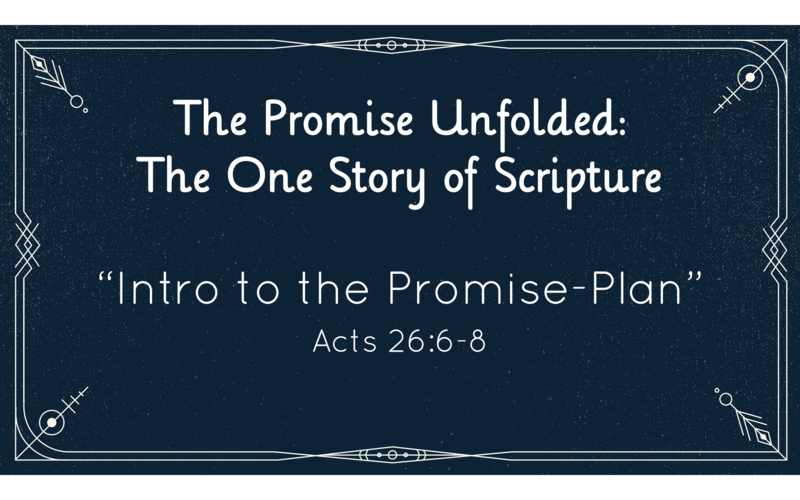 The Promise Unfolded: The One Story of Scripture