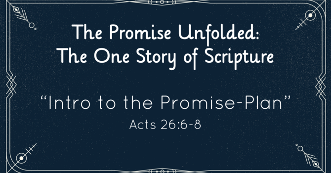 The Promise Unfolded: The One Story of Scripture