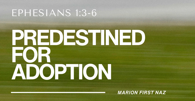 Predestined for Adoption