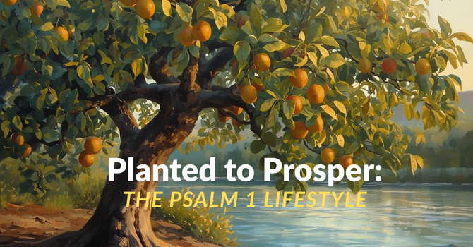 Planted to Prosper: image