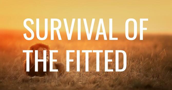Survival of The Fitted -  Bro. Lapetina
