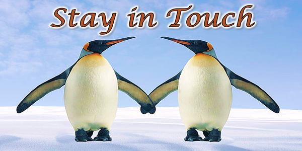 Click on the links below: