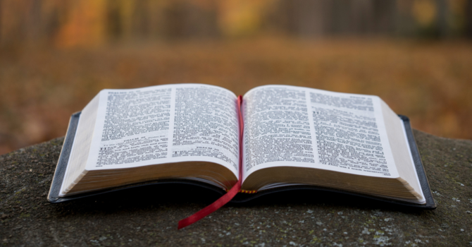 Bible Study Resources