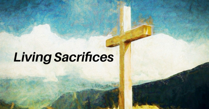 What's In Your Hands?