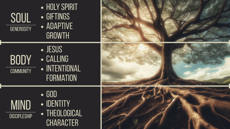 Rooted, Not Resolved