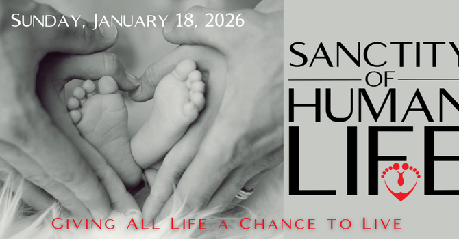 Sanctity of Life Sunday