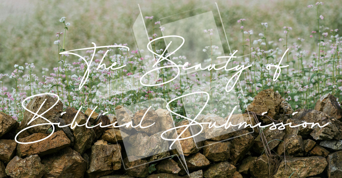 The Beauty of Biblical Submission