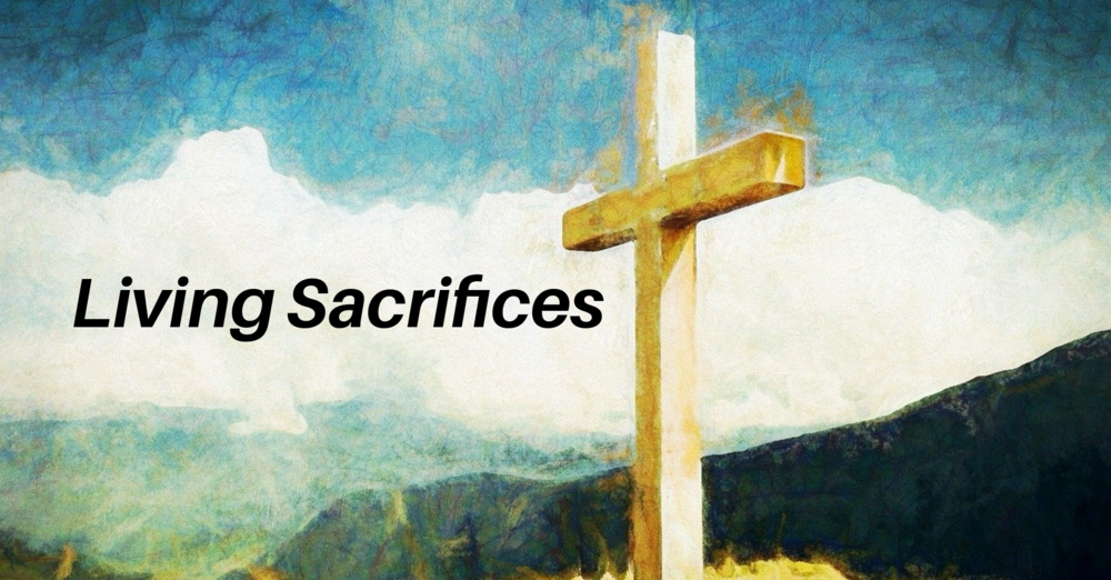 What's In Your Hands?