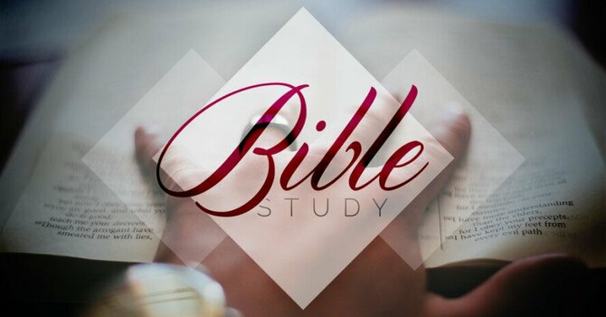 Ladies Ribology Bible Study