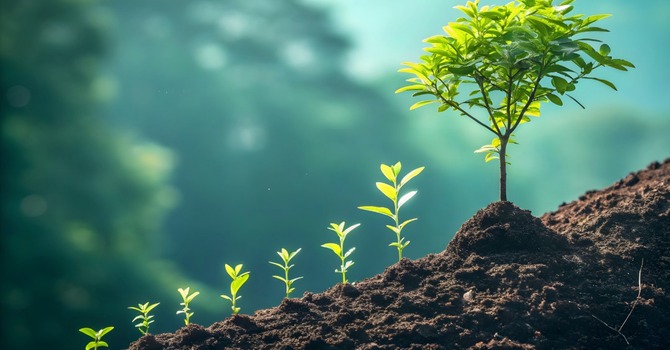 Special Worship Service