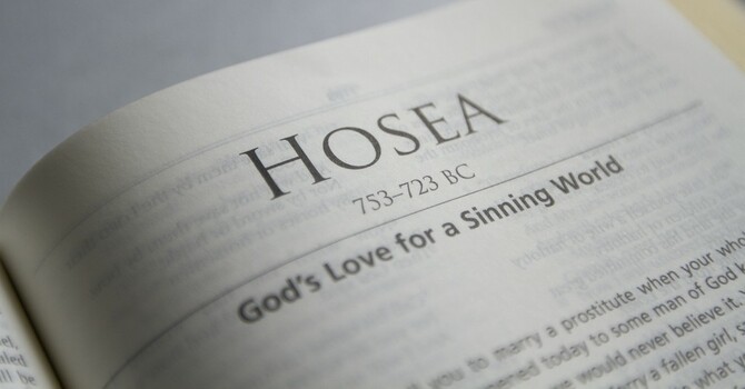 Hosea 5:14-6:6; "Let us press on!" (6.11.2023)