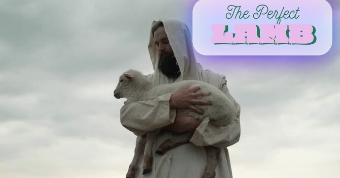 The Perfect Lamb & the Protection image
