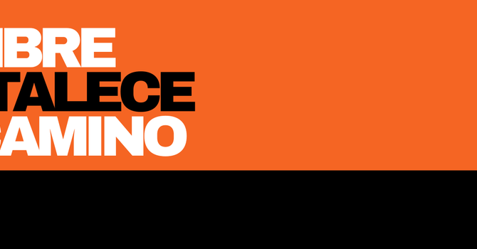 Hombres Fortalece tu Camino 