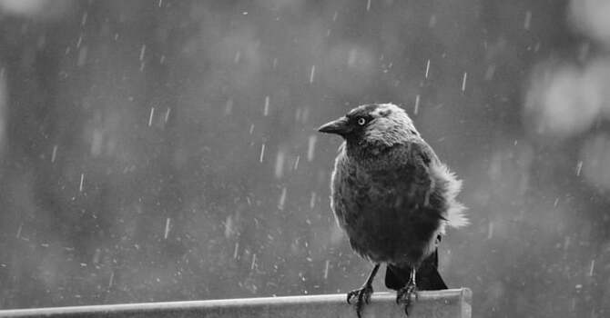 January 6, 2026 Devotion image