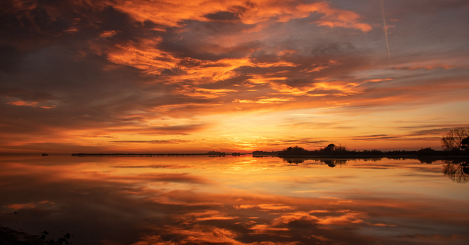 It's a beautiful world image