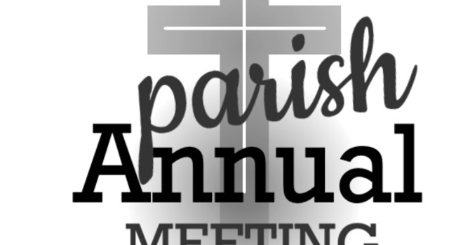 ANNUAL MEETING