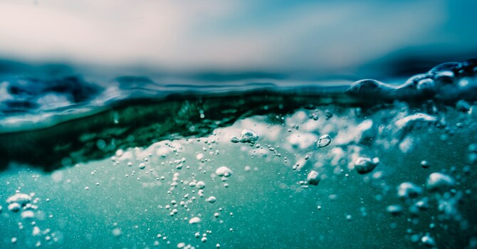 The Baptism of the Lord - January 11, 2026