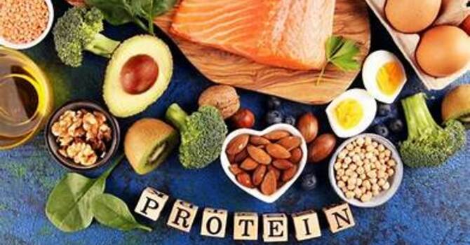 Women of Wesley Protein Packs