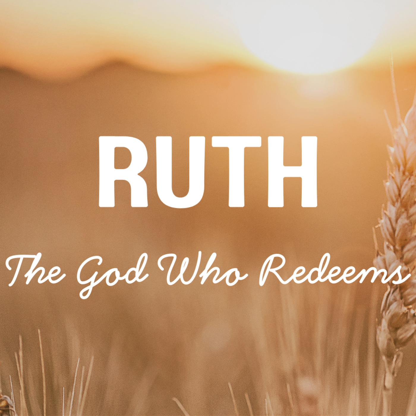 Bitter Times and a Better Path (Ruth 1:1-22) episode artwork