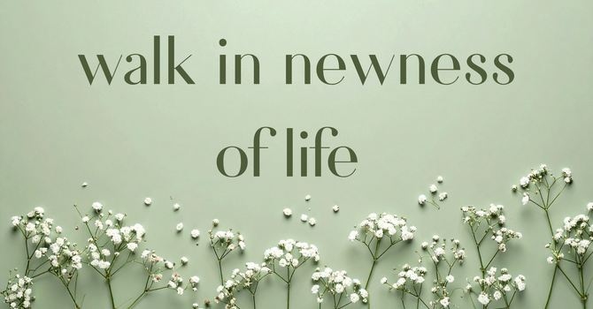 Weekly Newsletter image