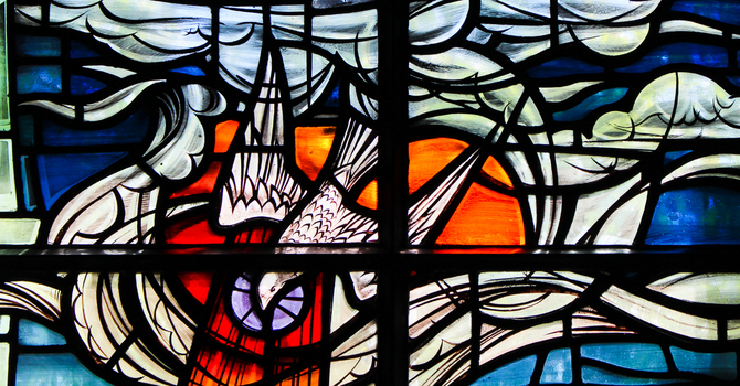 Elizabeth Laugharne Celebration of Life