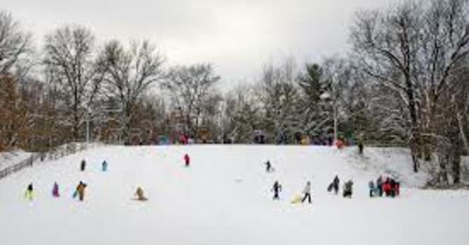 Youth @ Midland City Forest