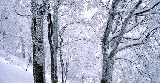 January 7, 2026 Devotion image