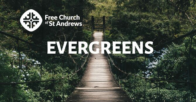 Evergreens