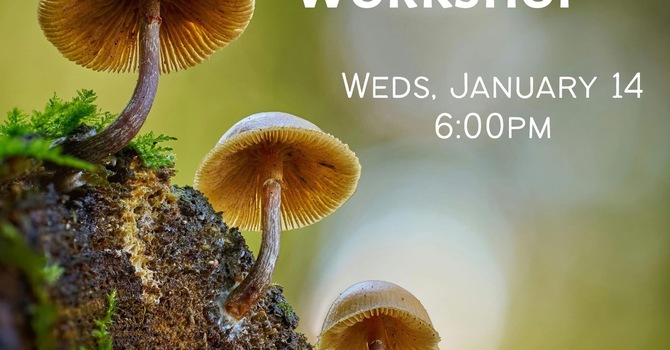 MUSHROOM WORKSHOP
