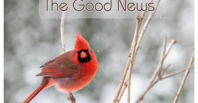 The Good News | January 2026 image