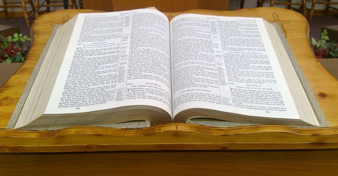 Monthly Newsletter image