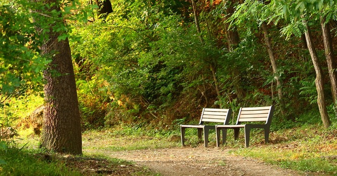 40-min forum: The BC Parks Foundation 